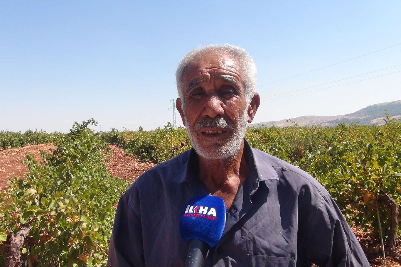 Üzümün pekmez ve pestil olma yolculuğu başladı